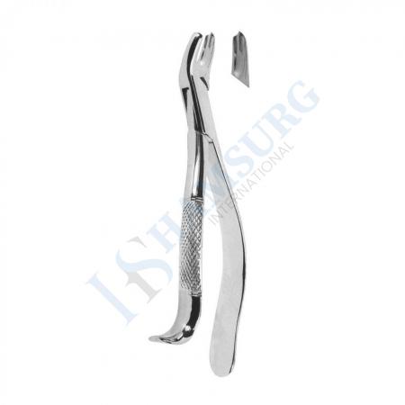 Extracting Forceps American