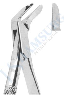 Extracting Forceps American pattern 